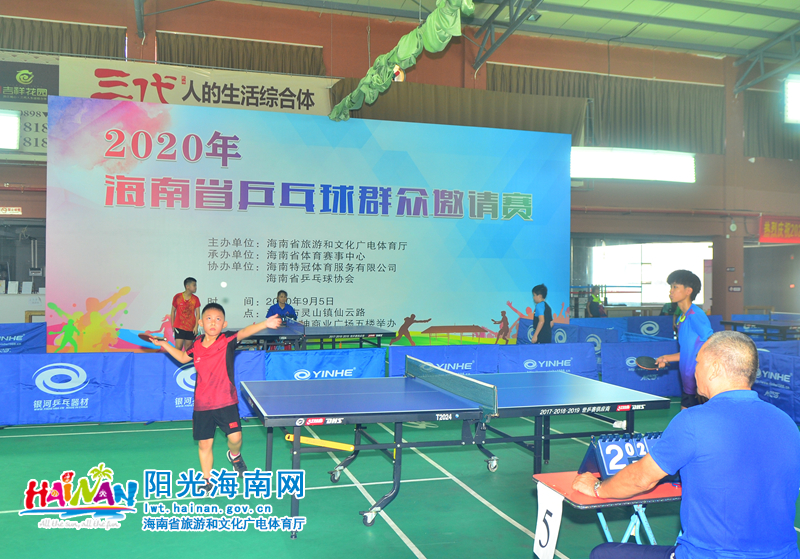 视的力量 视的力量