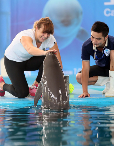 左侧肋部的 左侧肋部的