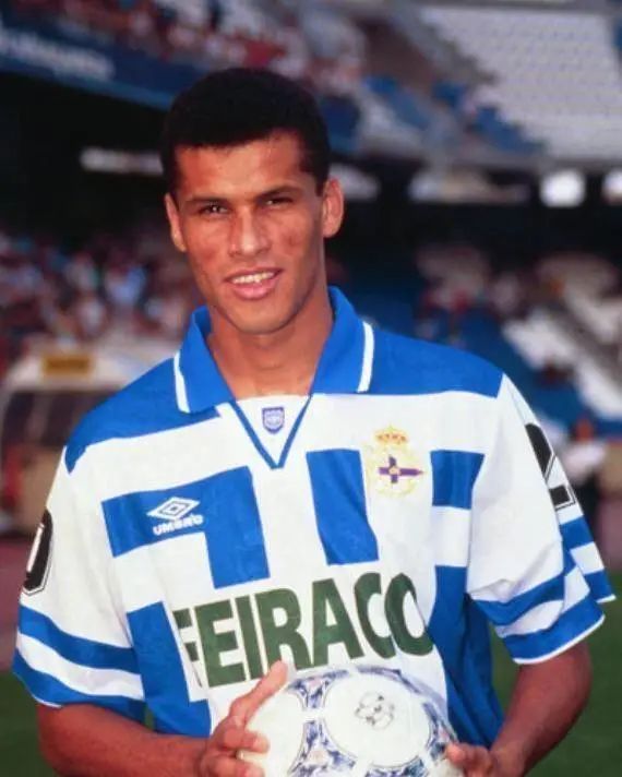 树木数量超 树木数量超